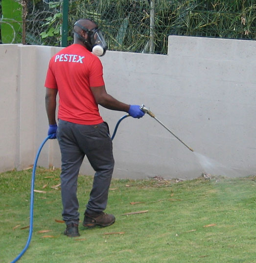 pest control technician spraying in lawn 