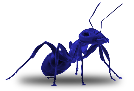 Ant-Blue